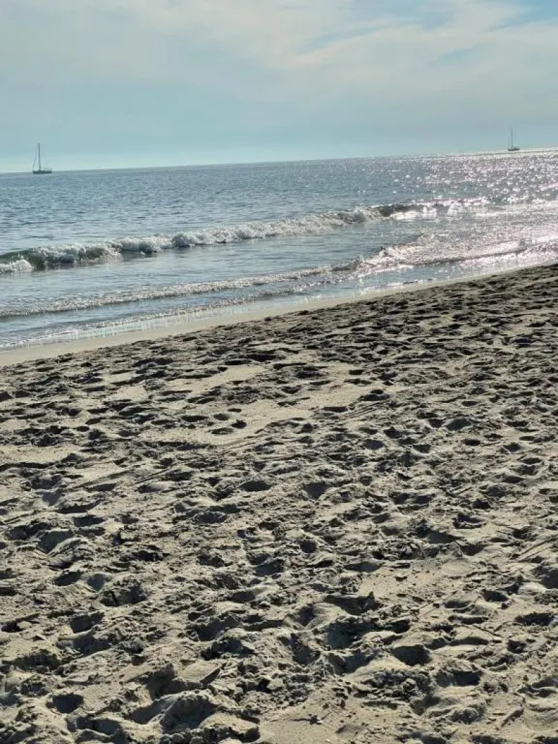 Studio vue port, belle terrasse, piscine