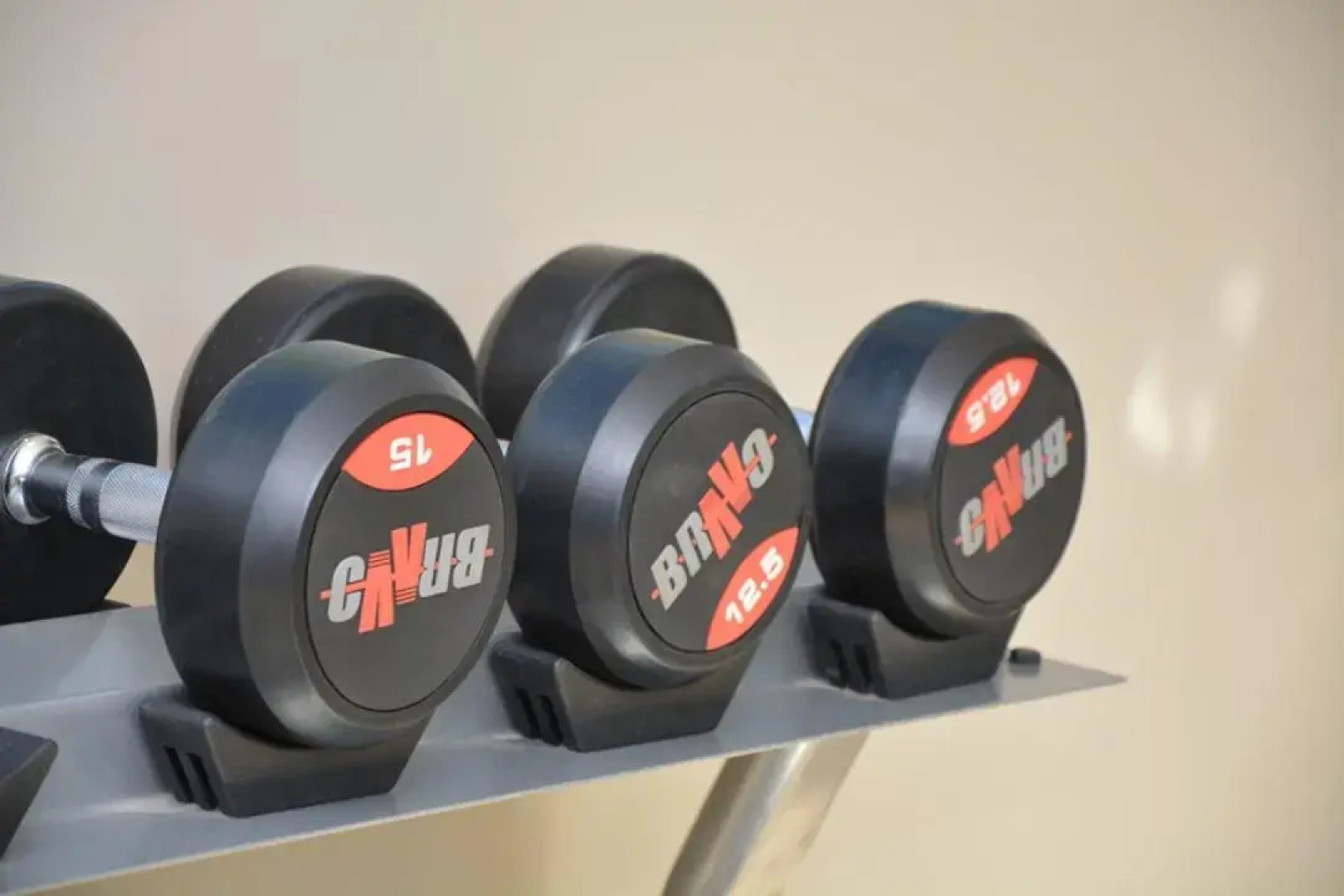 Savoy Hotel Encarnación