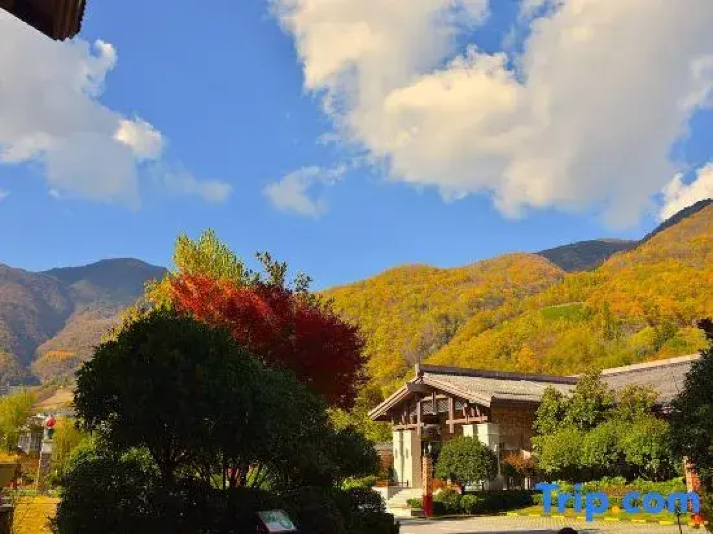 Arcadia International Forest Hotel