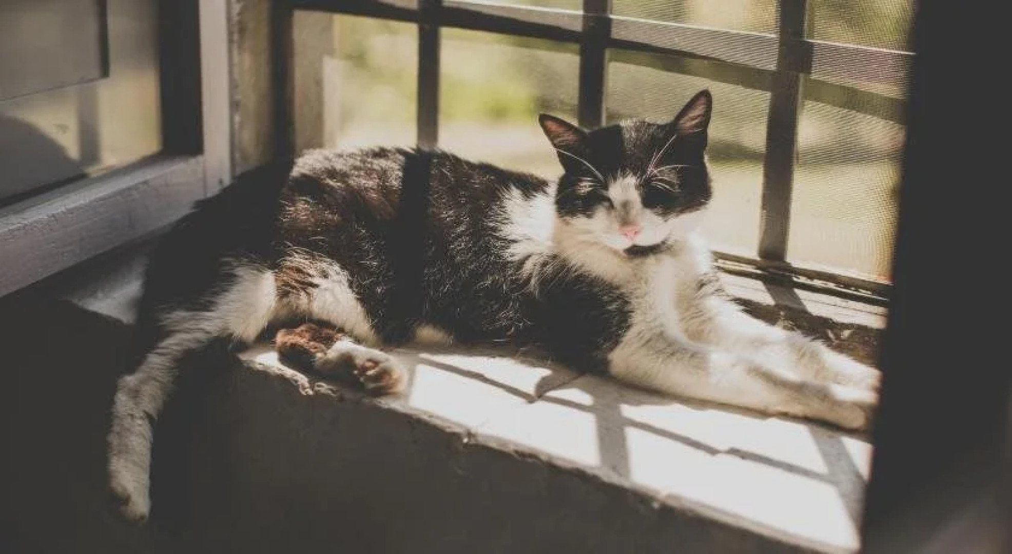 Acquapietra Guesthouse