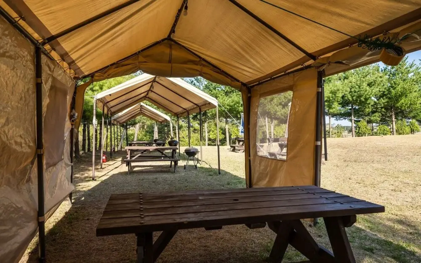 Yangyang See Star Donghae