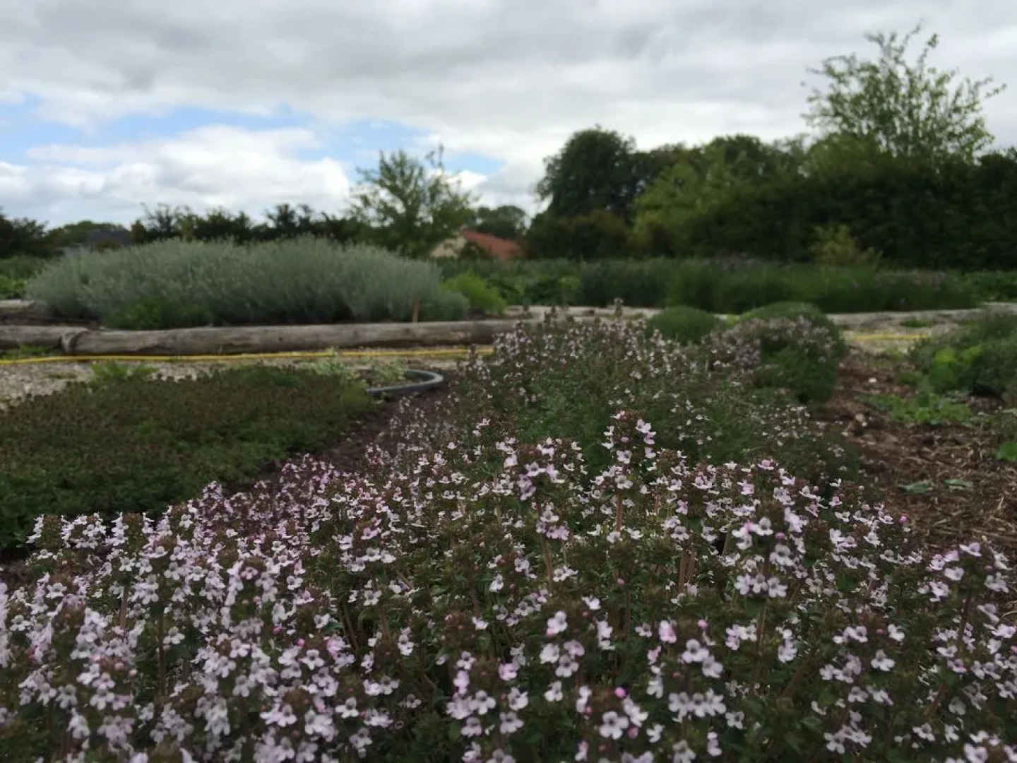 Christies Sdr. Hostrup Kro