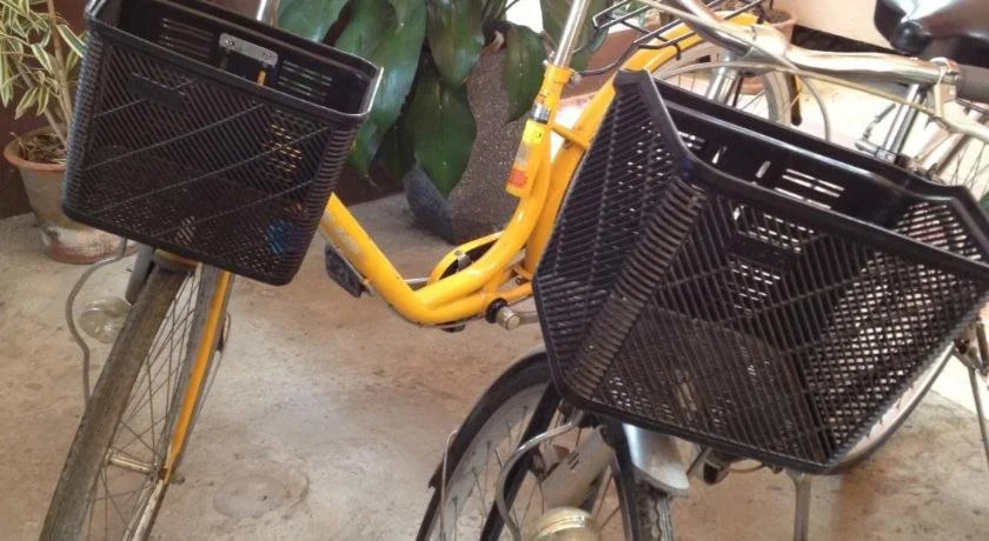 Chok Wasana Guesthouse