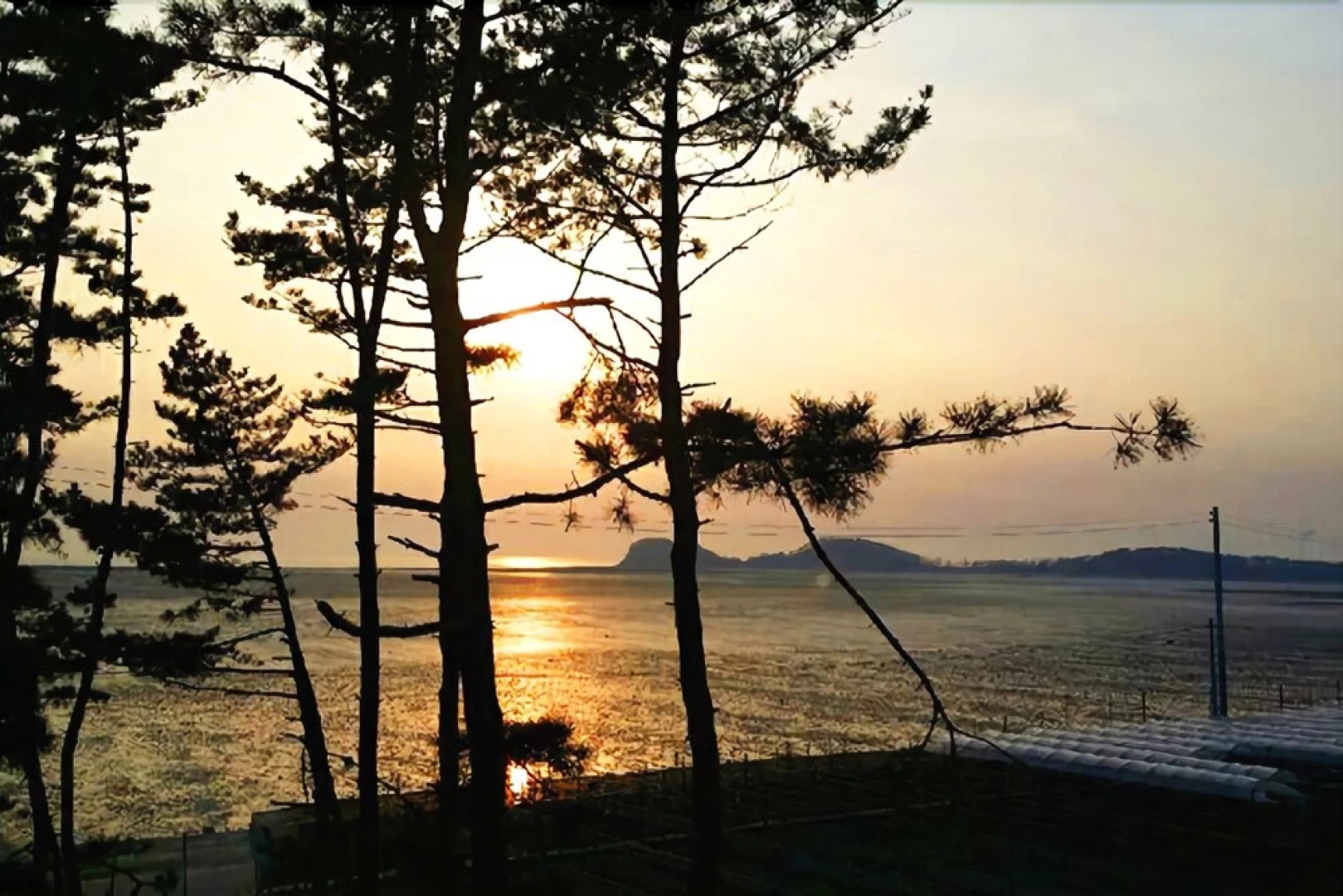 Daebudo Karma Pension