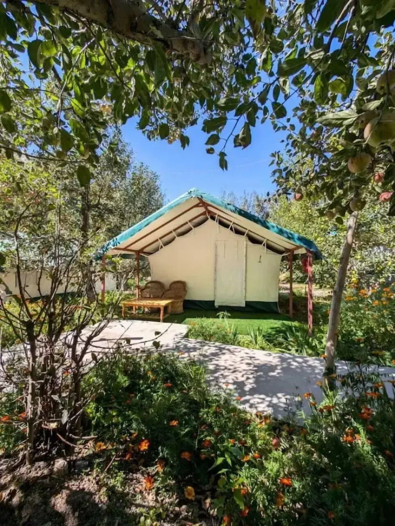 Apple Orchard Farm and Camping