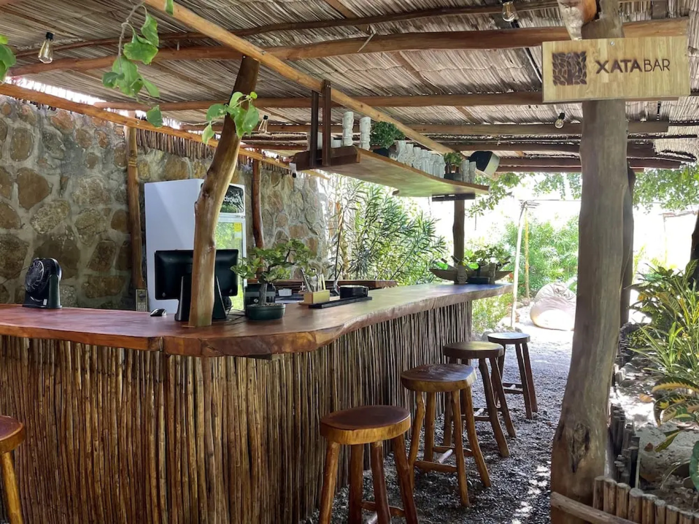 Ecoxata - Adults Only