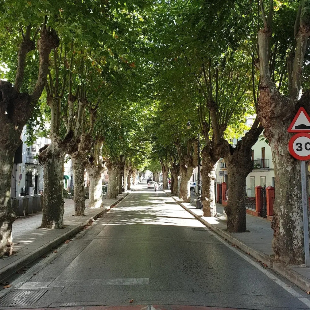 Room-village House Laverdura