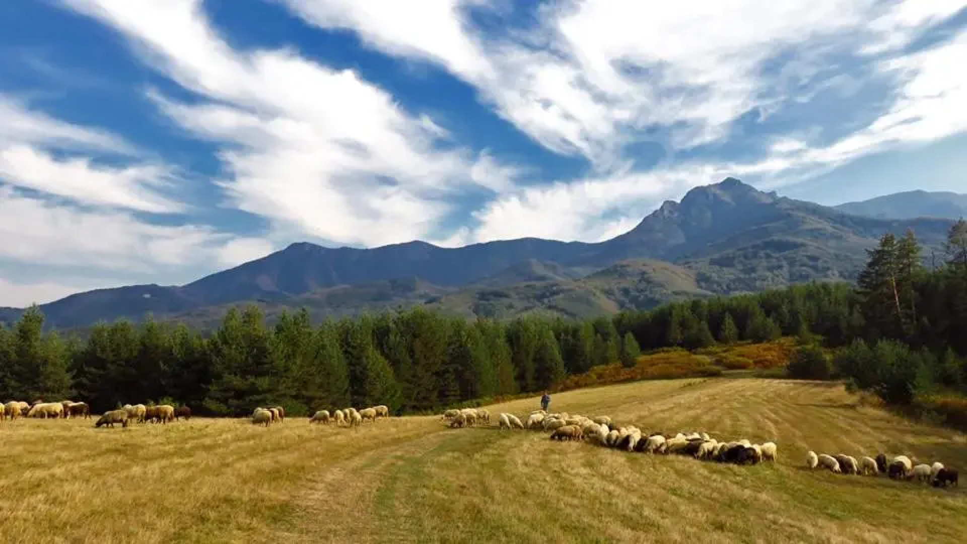 Къща За Гости "Краи Реките"