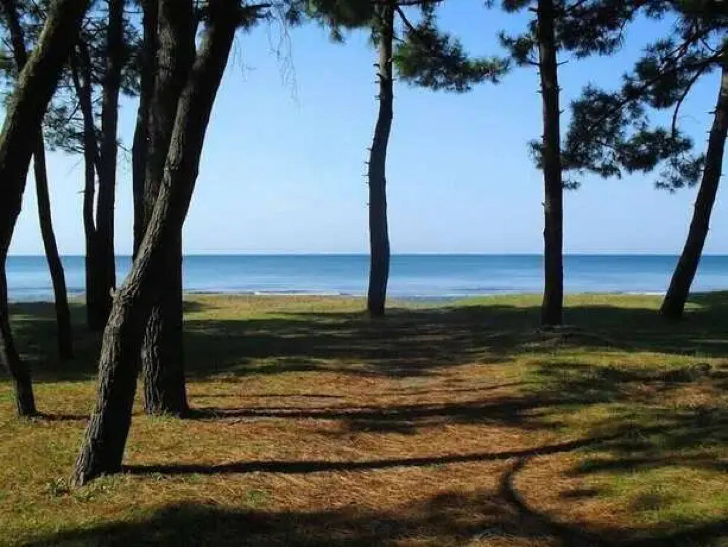 Quality Inn Mountain Ranch Resort