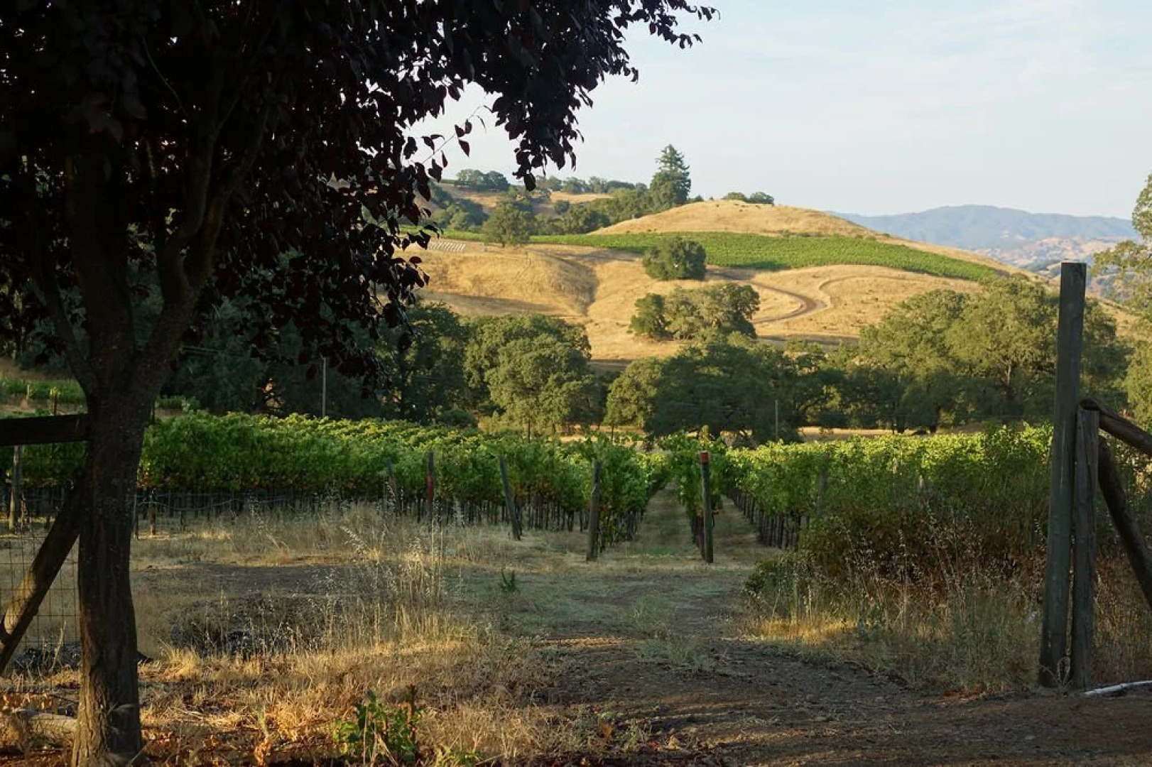 The Highlands Estate