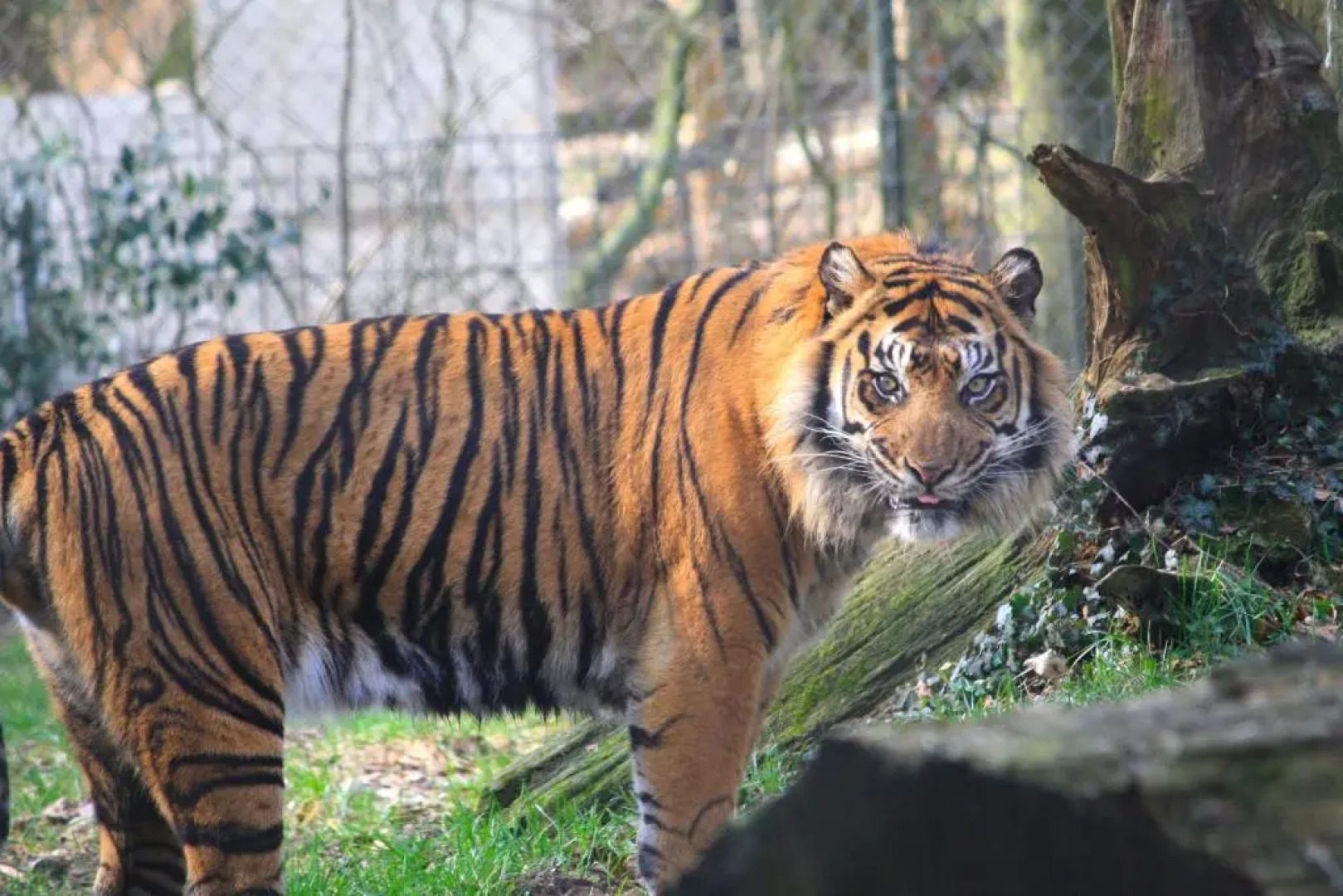 Ferienwohnung K1889 Rheine - Elin