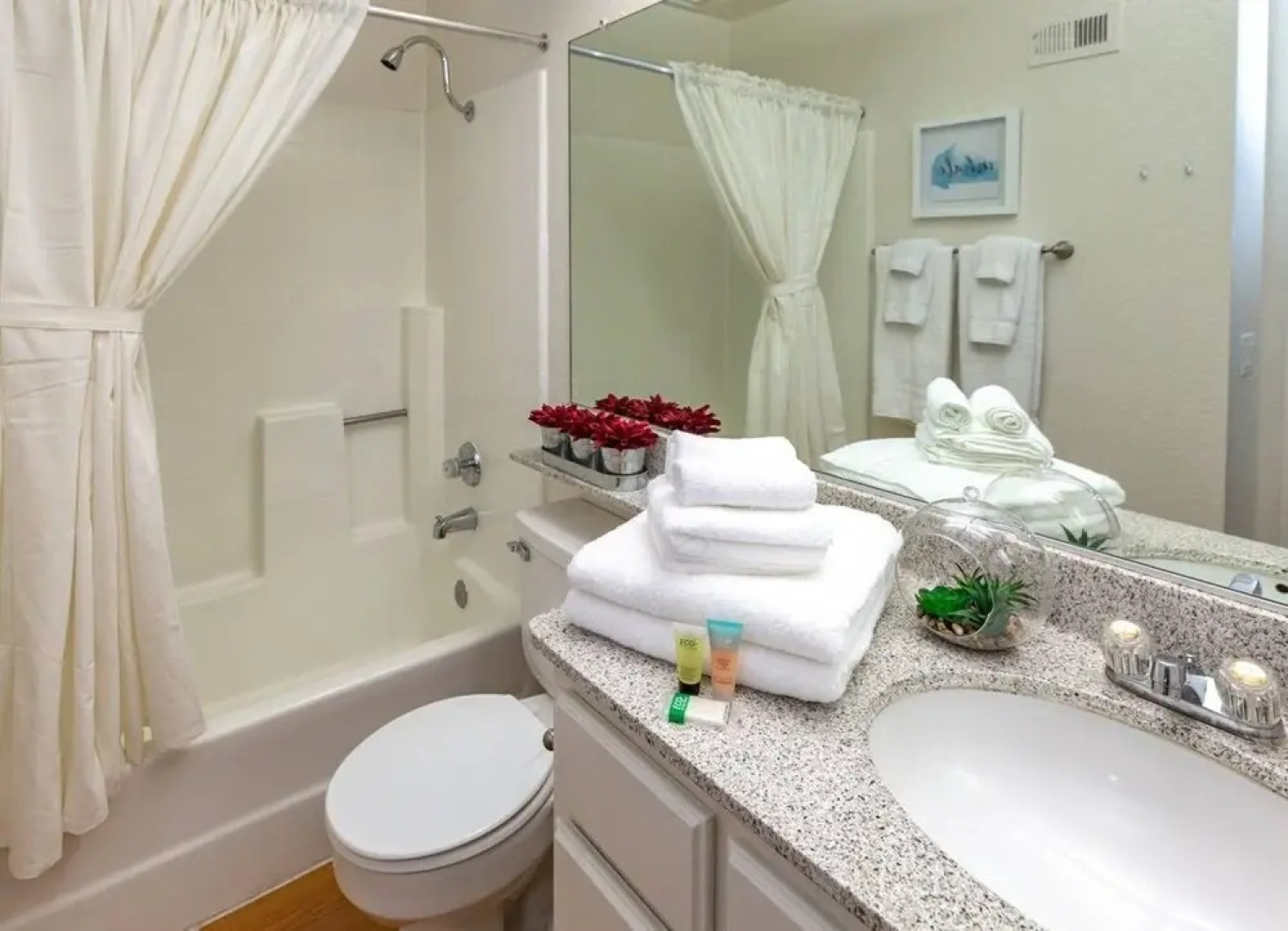 Forest Zen Retreat Celebrate the Lunar New Year