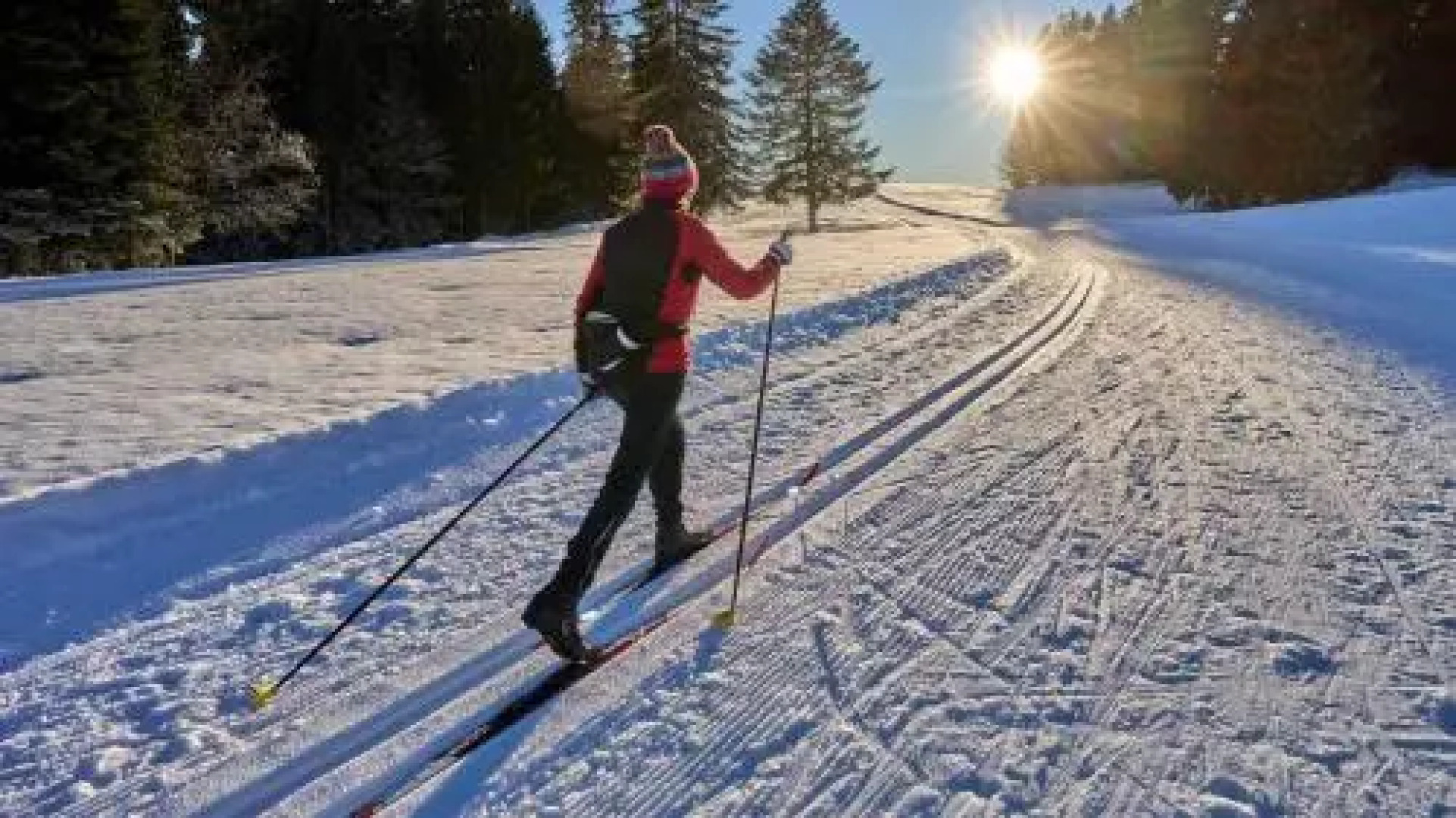 Hotell Gyllene Bocken