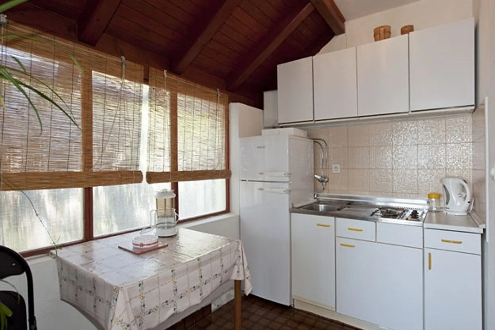 Apartment Roza - 200 m from sea : A1 Baska Voda, Riviera Makarska