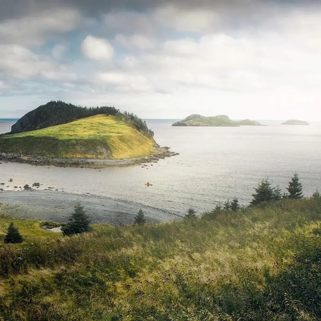 Whale House Guest House