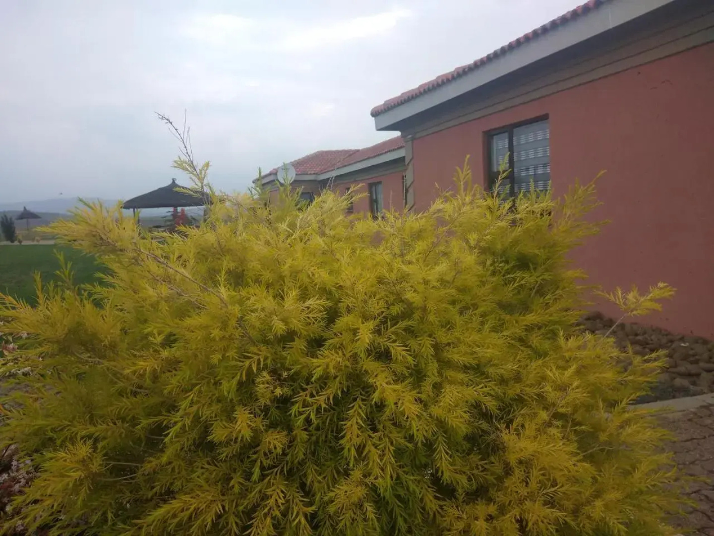 Twilight Breeze Lodge