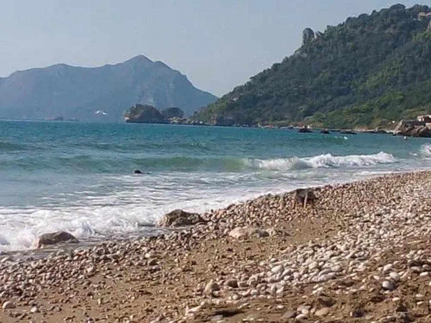 Sofia Margarita's Rooms