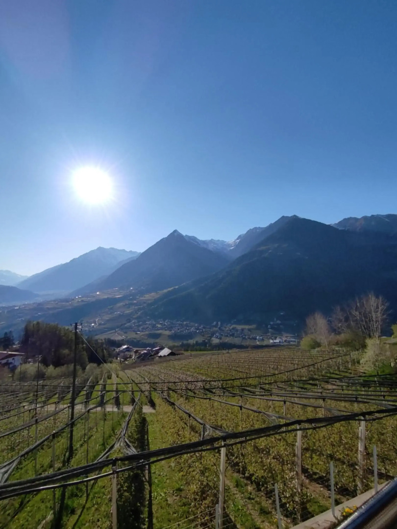 Prünsterhof Schenna