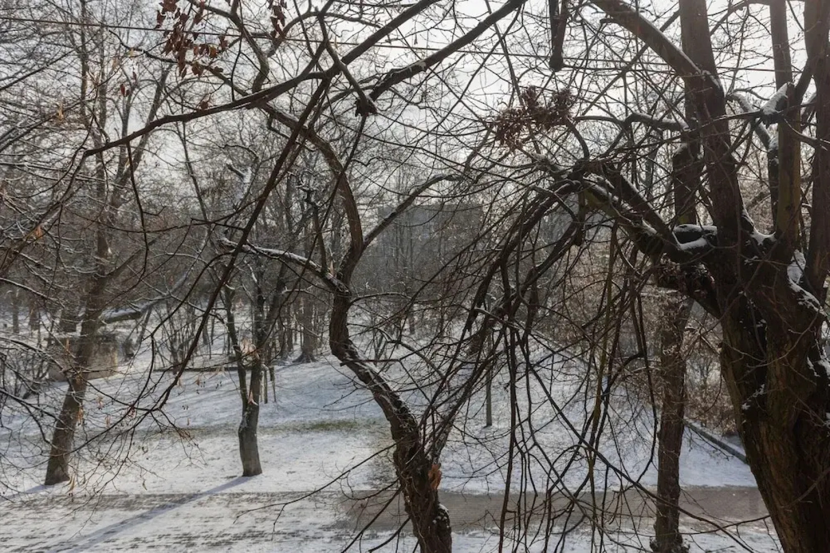 Warsaw Pruszków Apartment by Renters