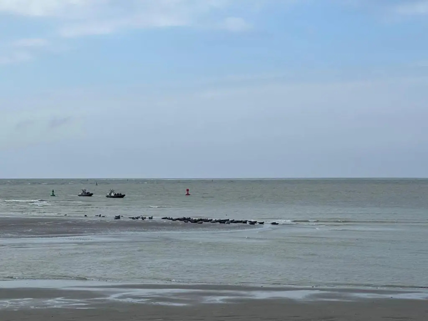 Plage à 50m Appartement Rêves étoilés Villa Les Bains de Mers