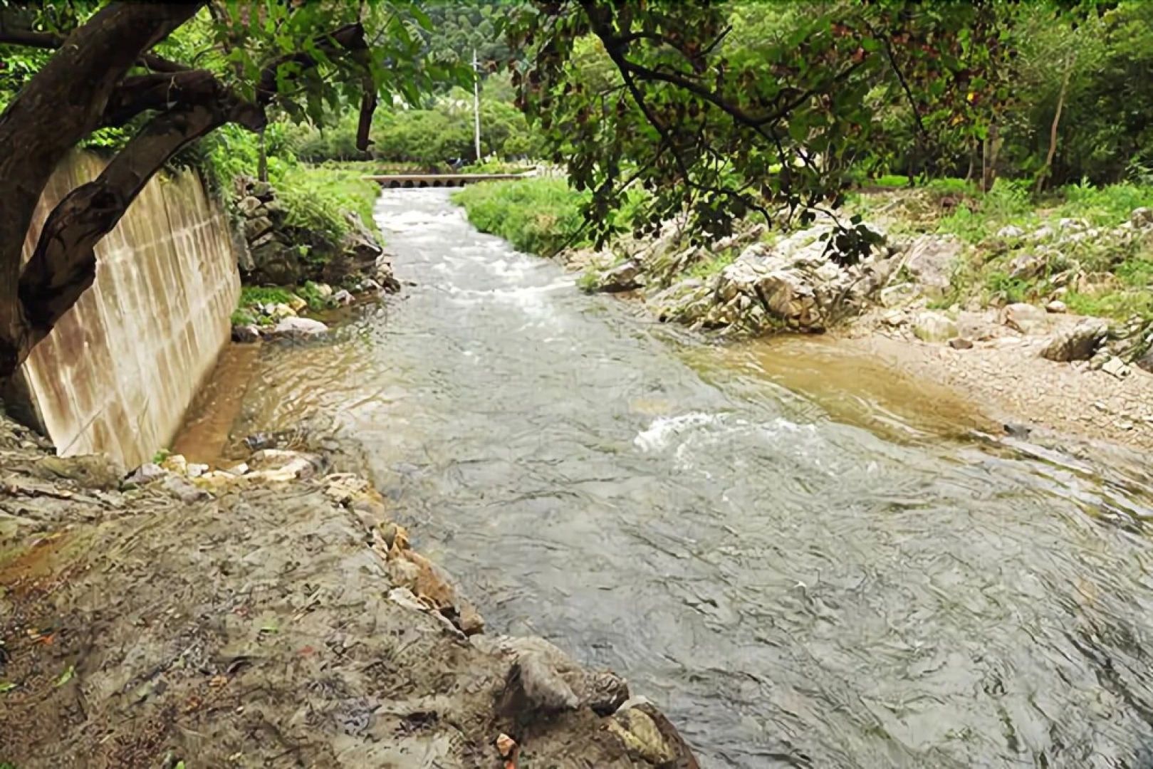 Yangpyeong Natural Rest Pension