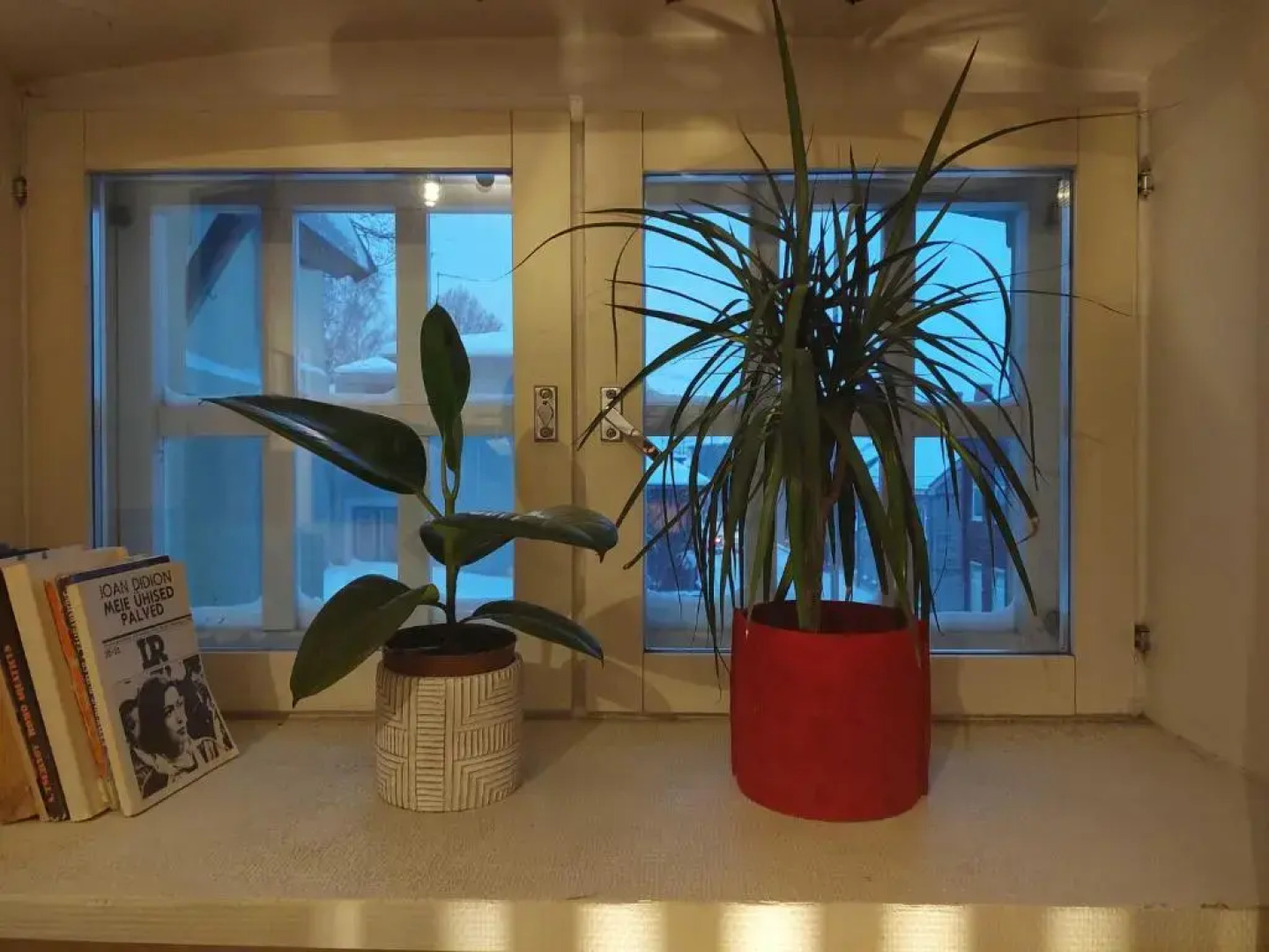 Хостел Looming