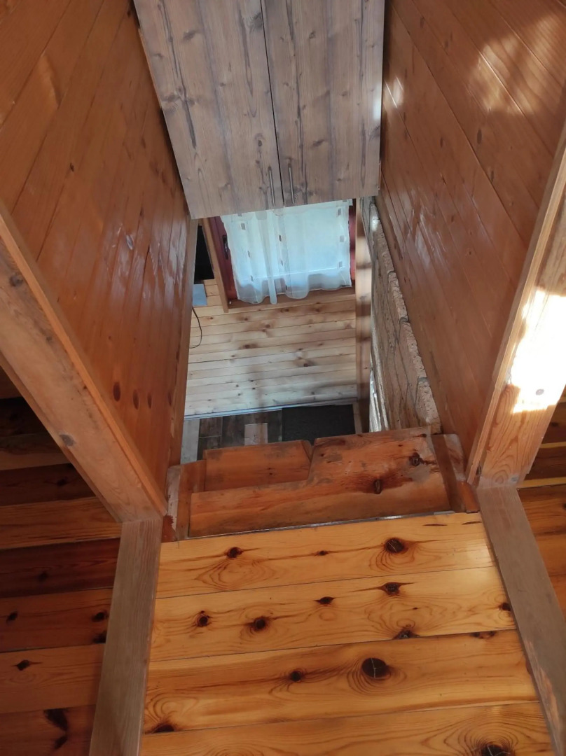 Vila Carobna suma Tara