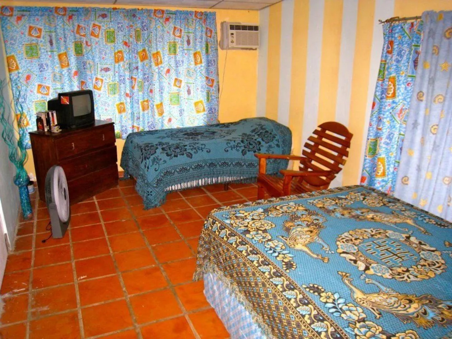 Panama Divers & Octopus Garden Dive Center