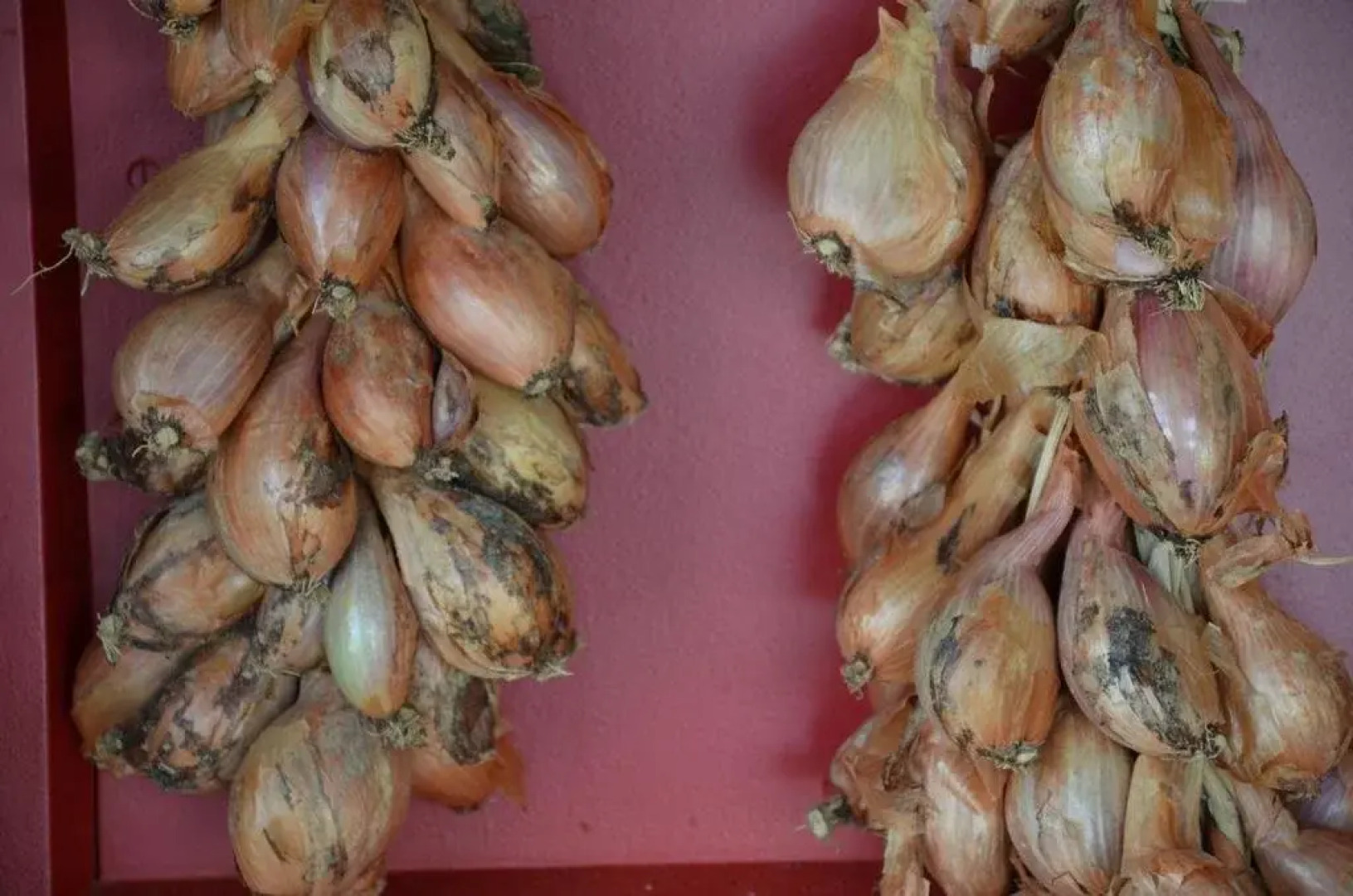 Agriturismo Donna Livia