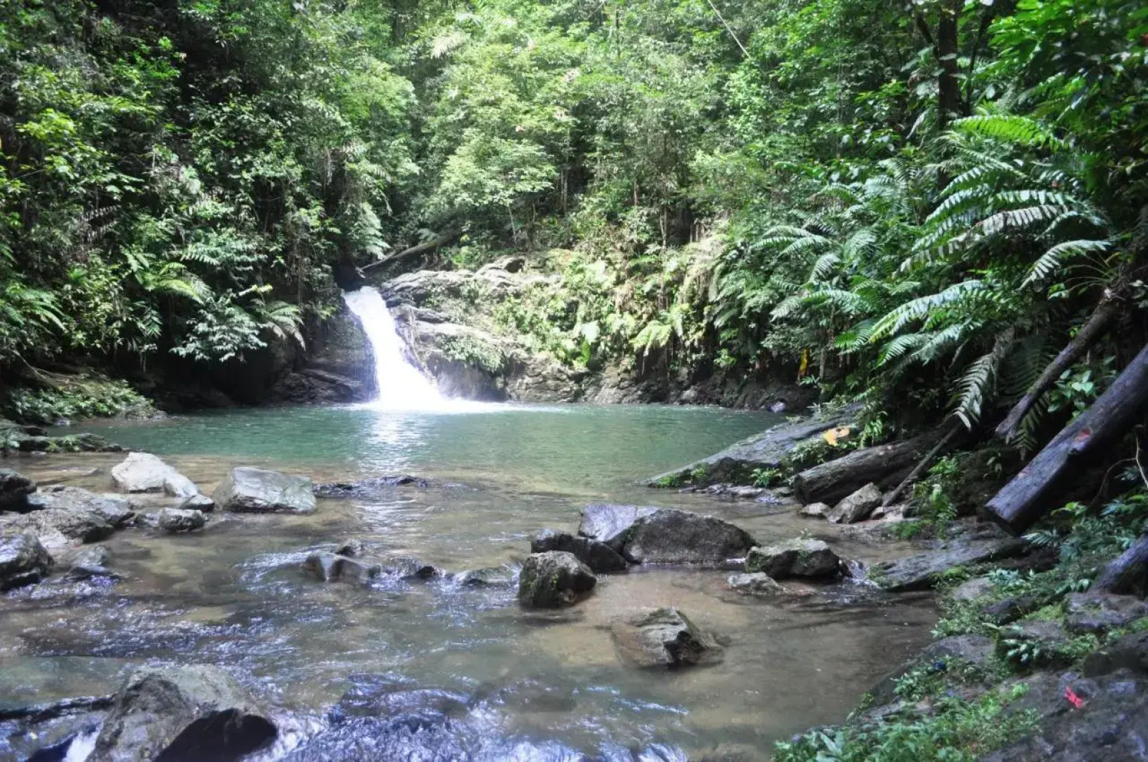 The Leatherback Lodge