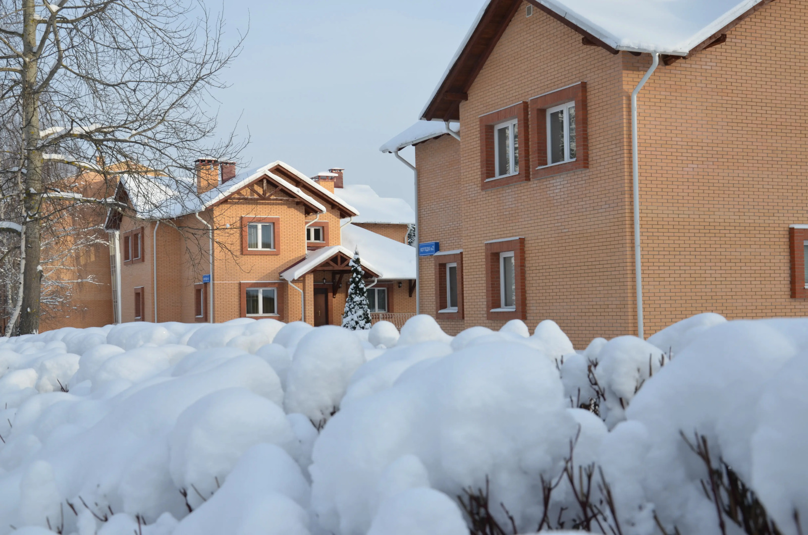 Viktorija (Moskovskaja obl.)