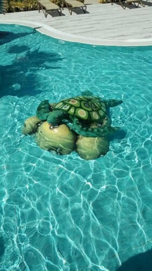 Assos Barbarossa Hotel - Special Class