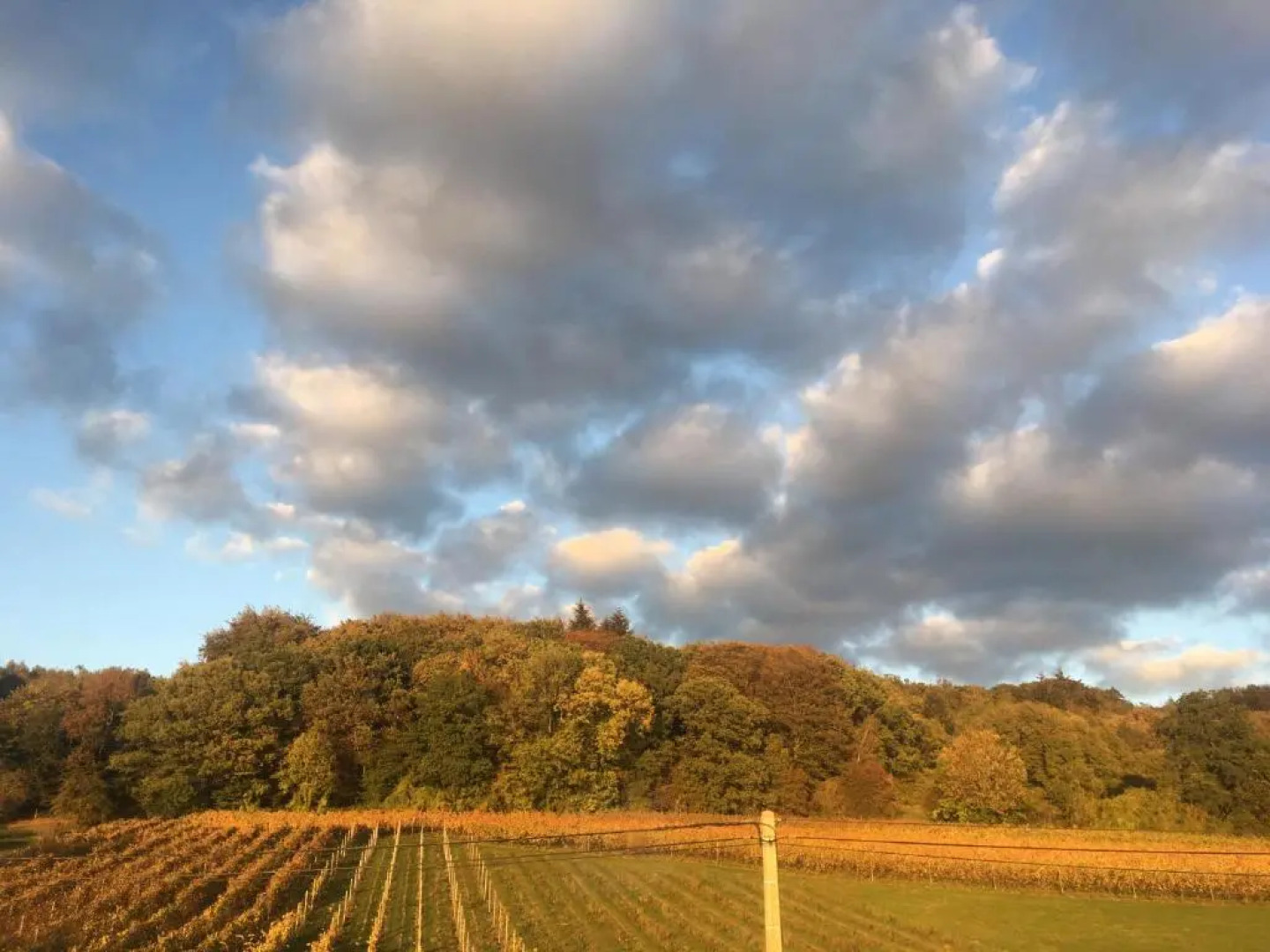 Wijndomein Zwaeneberg