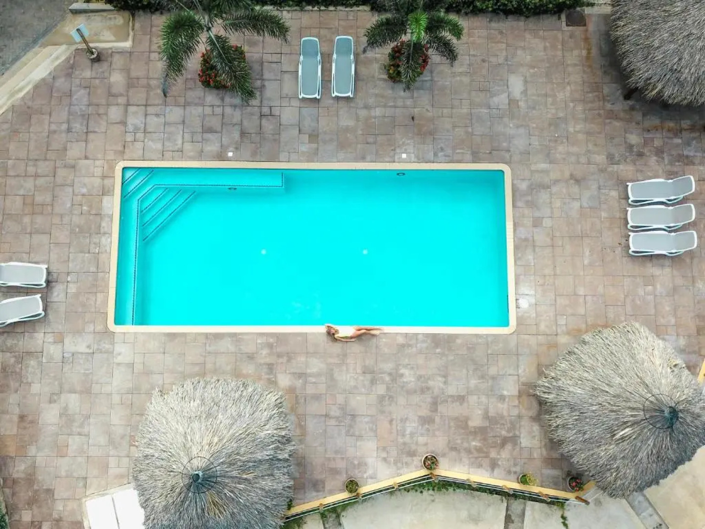 Caribbean Dream Garden View Condo Suite 7
