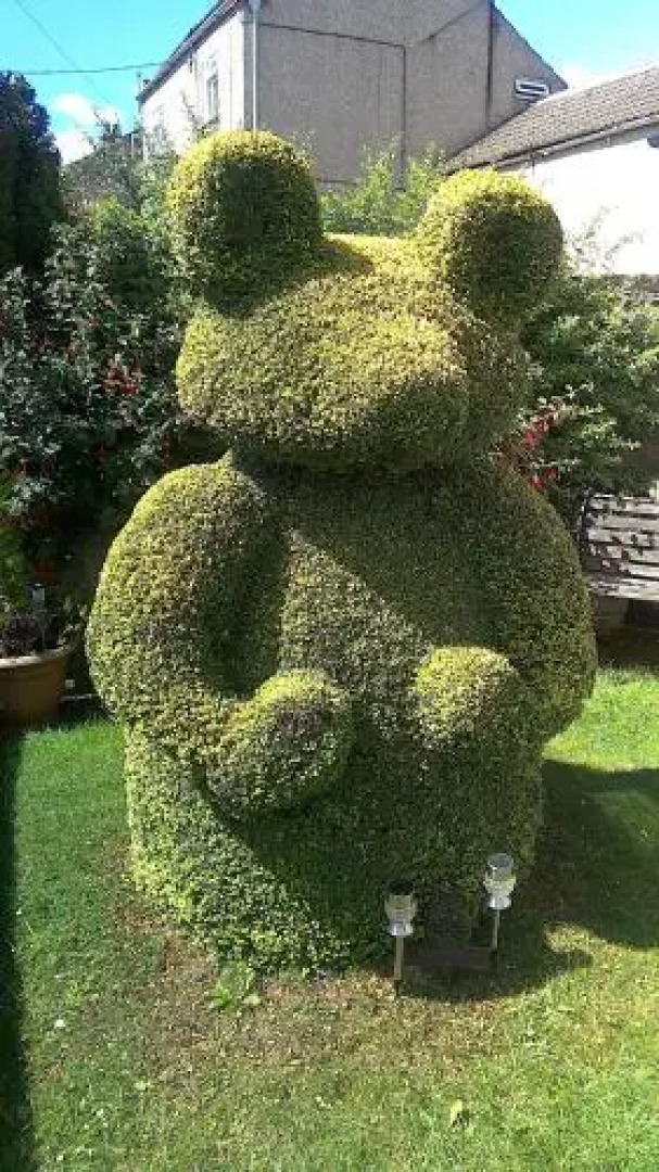 Hillside Bed and Breakfast