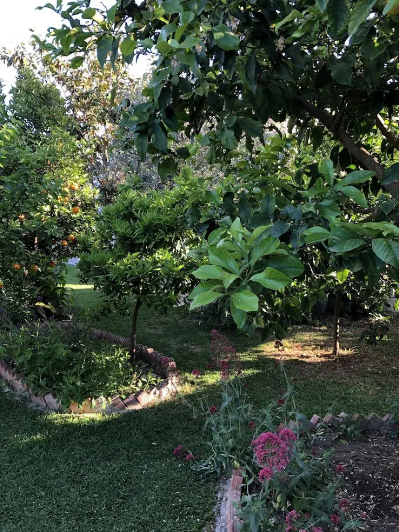 Charming 2-bed House in Kallithea