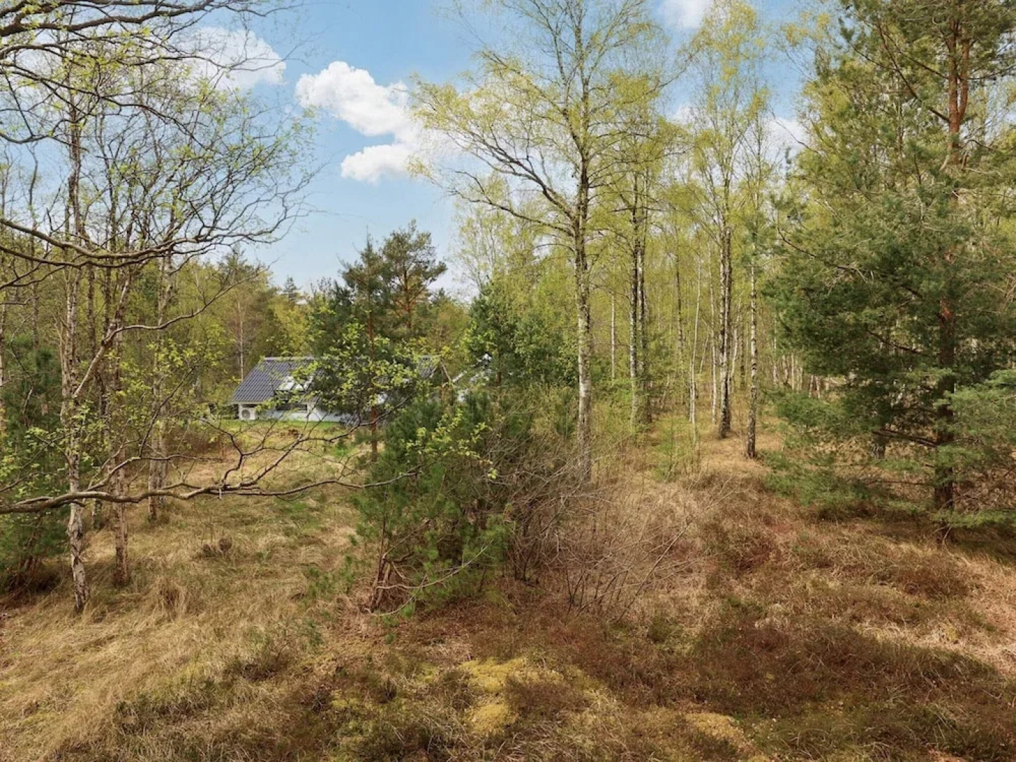 Comfortablle Holiday Home in Nordjylland near Sea