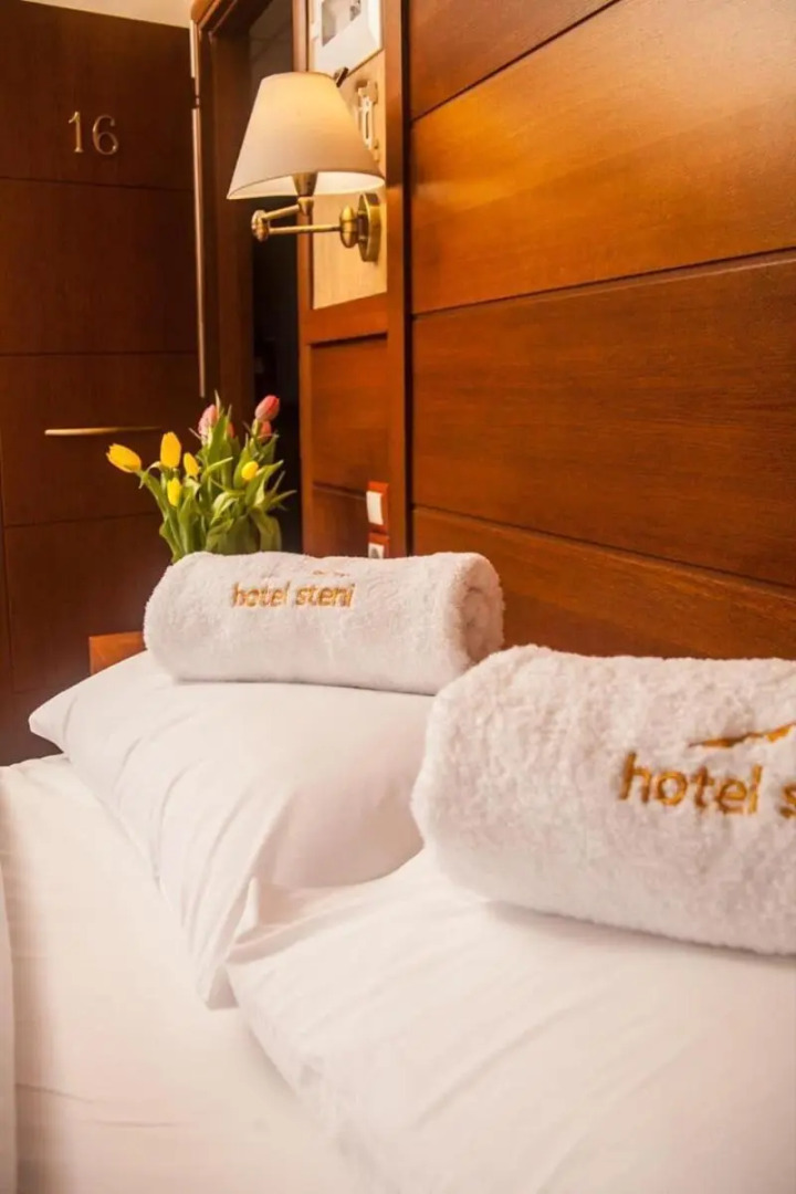 Hotel Steni