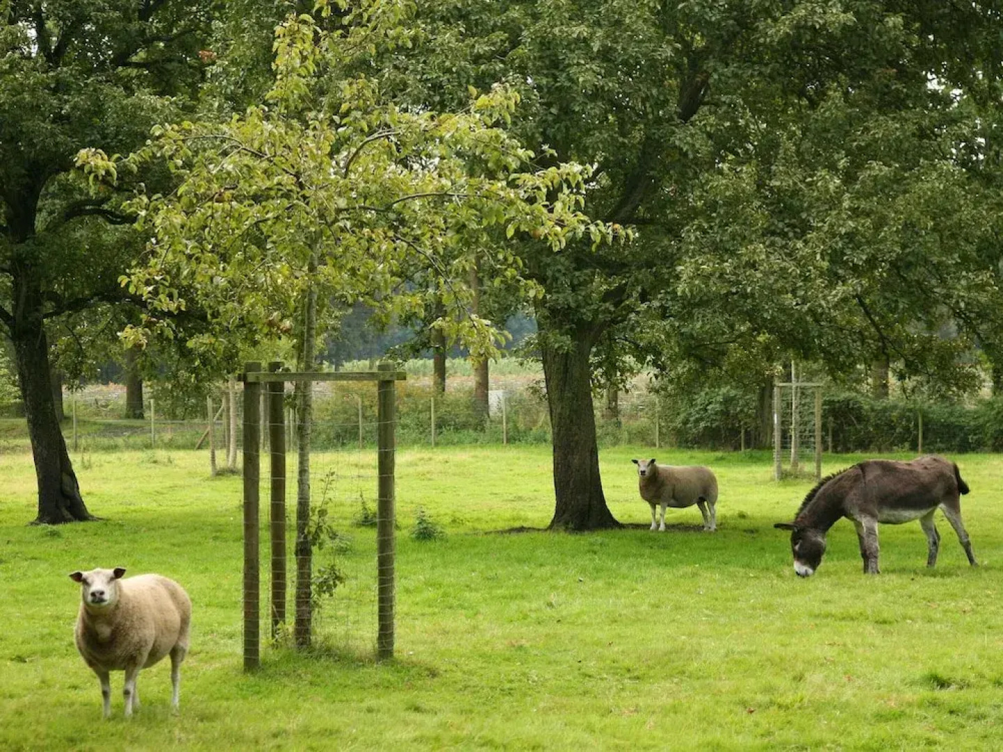 Beernem Farmhouse With Pool