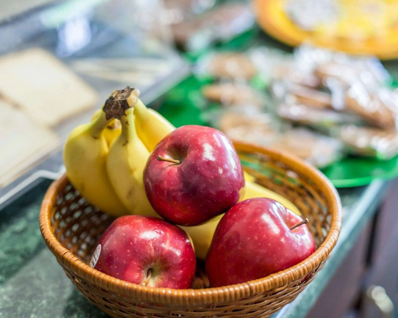 Rodeway Inn Gadsden 1-59 exit 183