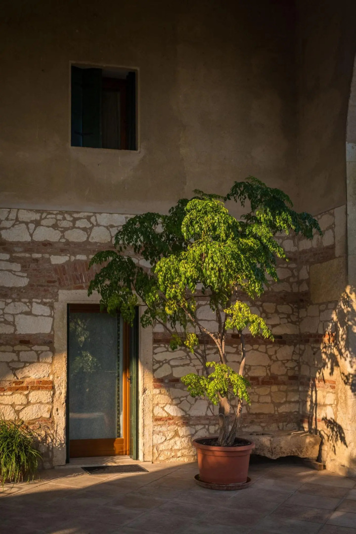 Tigli apartment with two bedrooms and one bathroom on the second floor with 4 metre glass window (apartment 6)