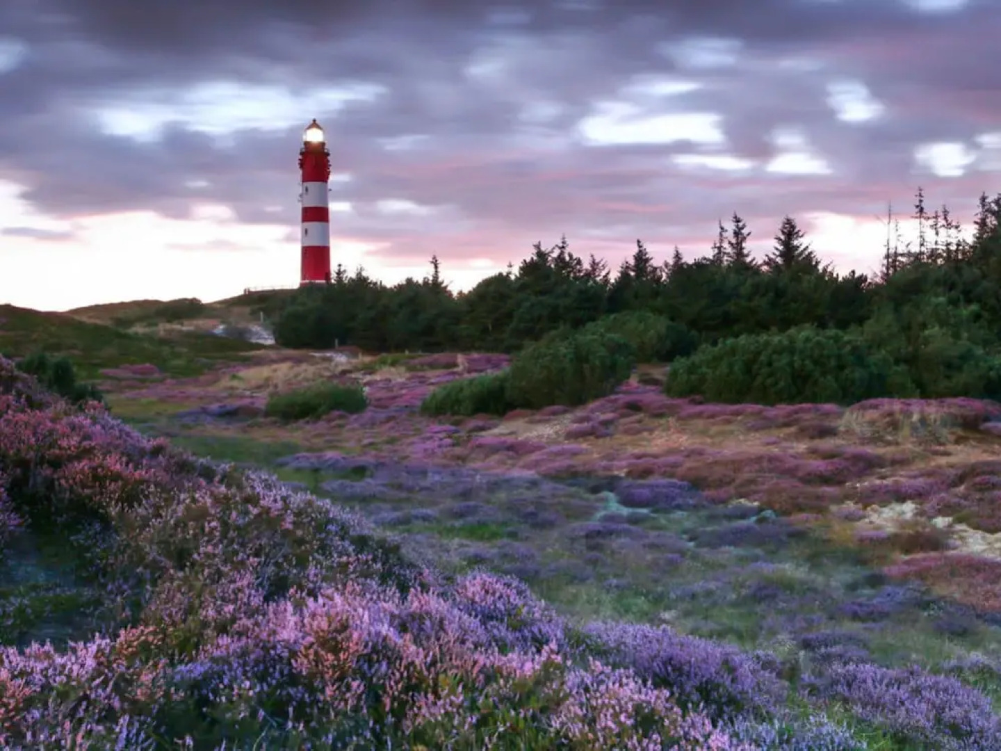 A in Haus Seewind Comfortable Vacation Home