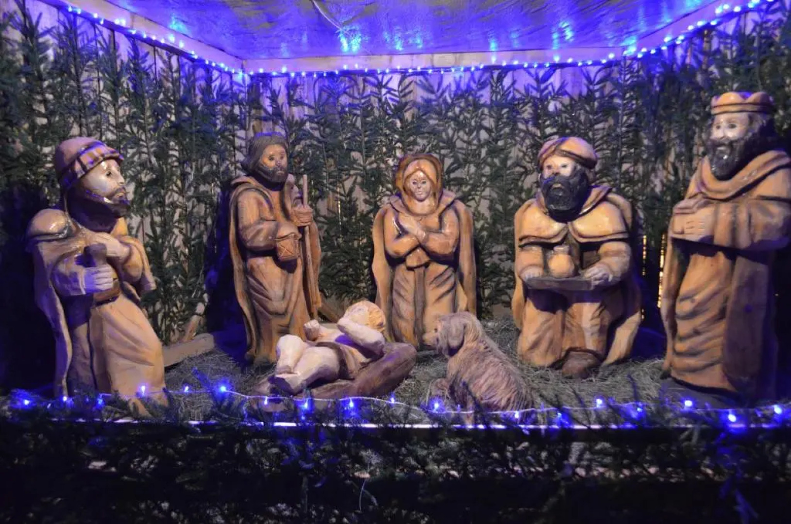 Sadyba Lisova Kvitka