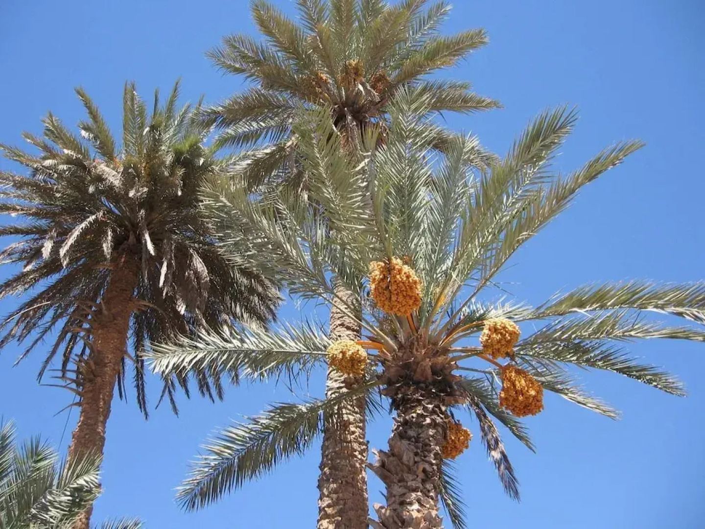 La Maison de l'Homme Bleu