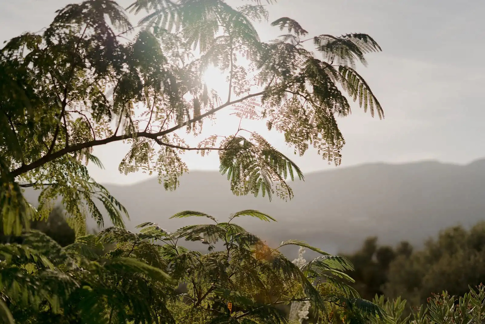 Village Heights Resort