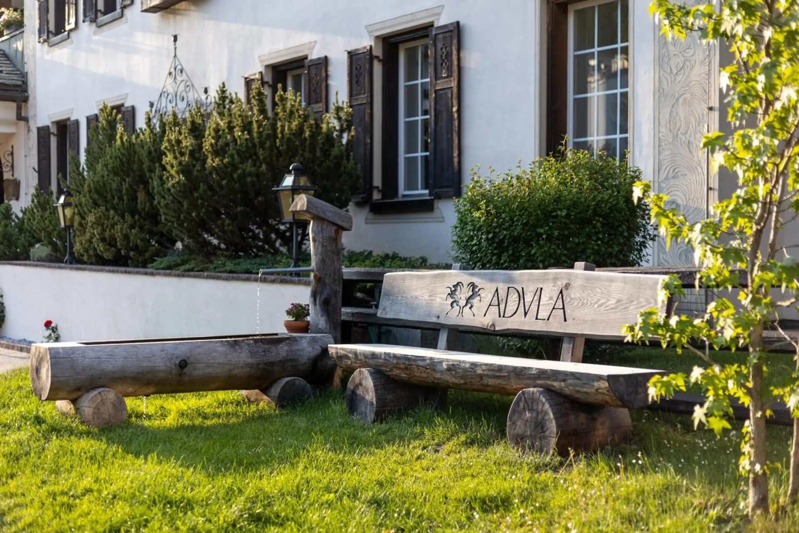 Soldanella by Hotel Adula