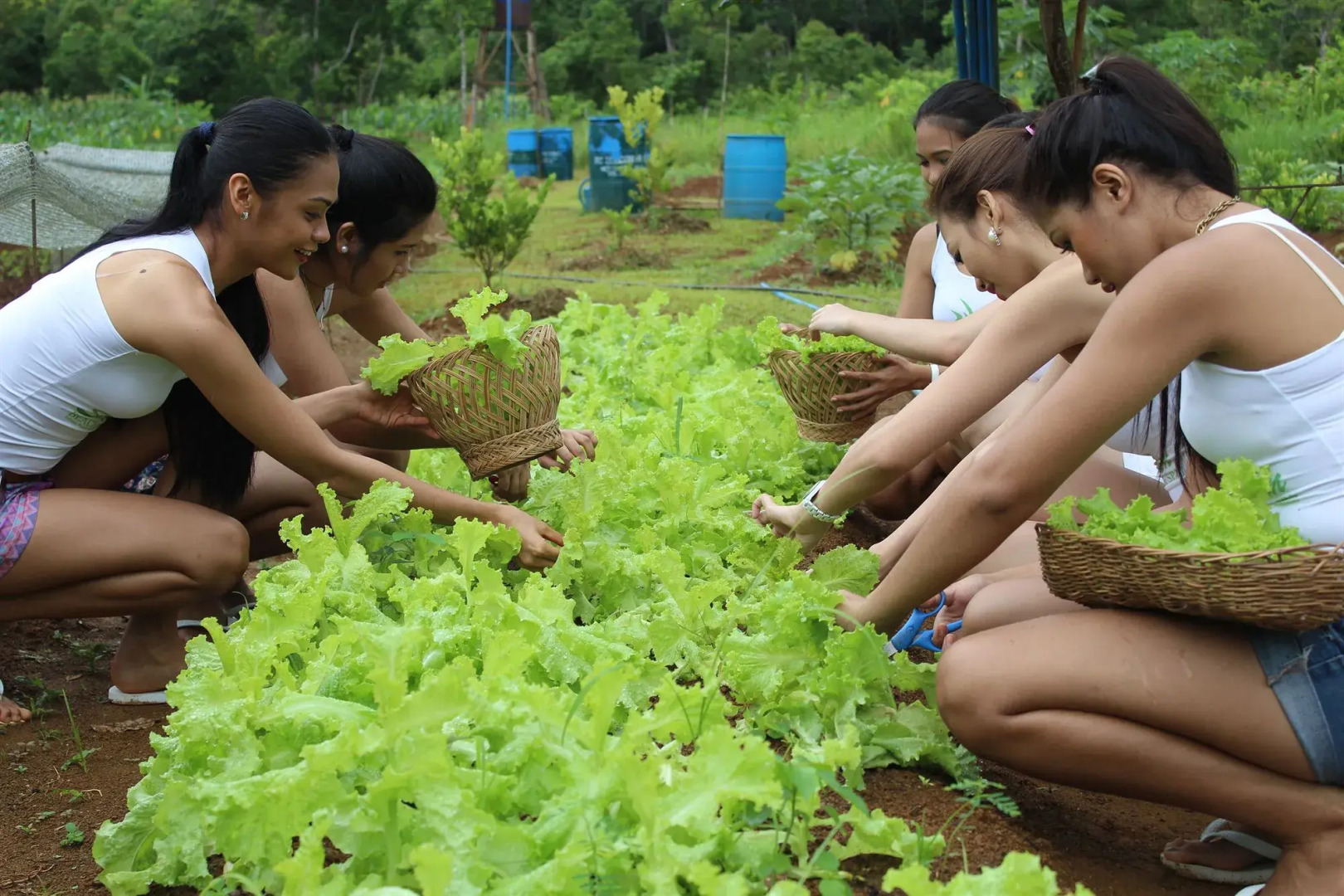 Four Points by Sheraton Palawan Puerto Princesa
