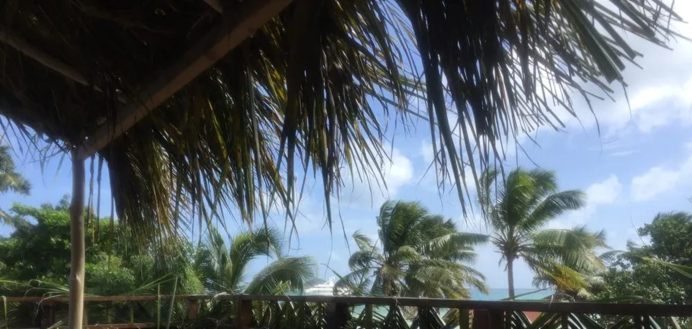 Sunwings Union Island