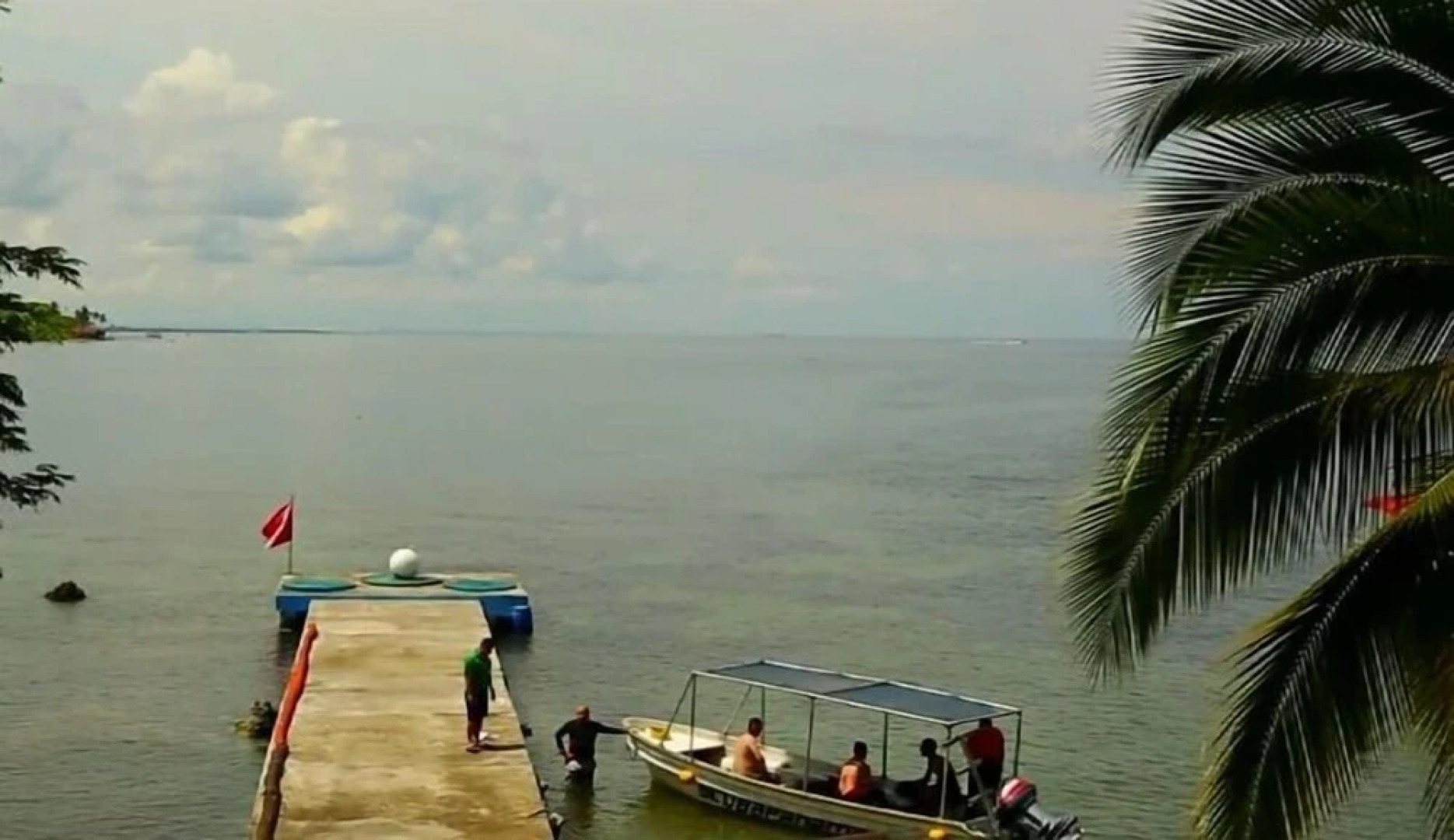 ScubaPortobello - Hostel