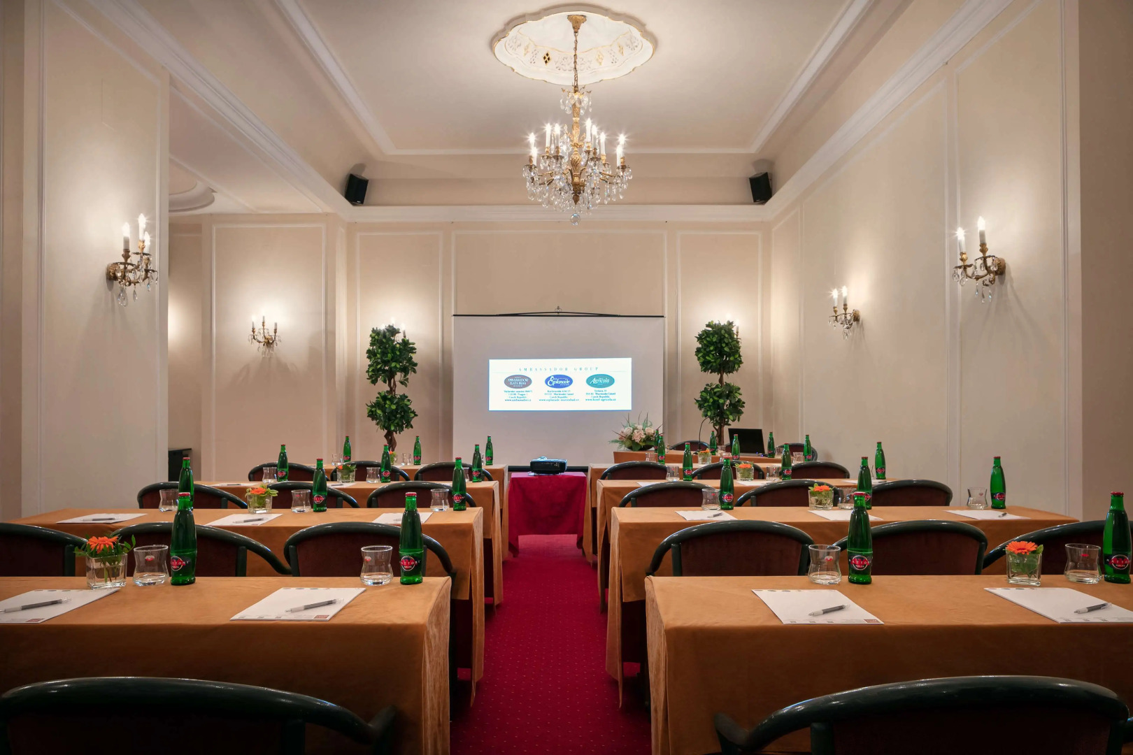 Ambassador Zlatá husa